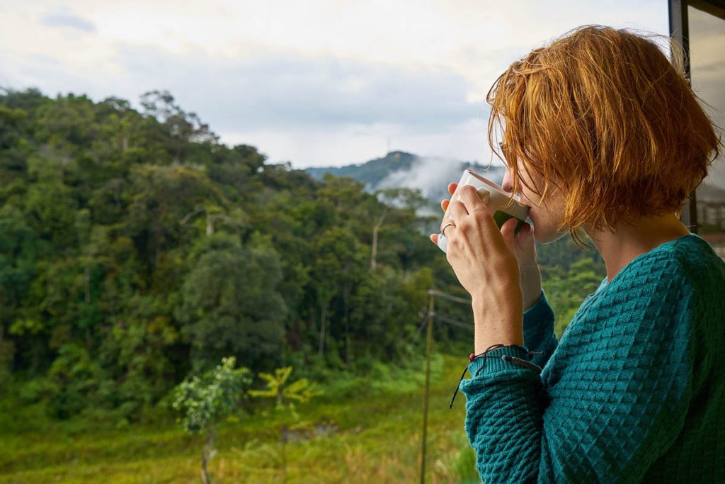 kaffee rothaarig pullover wald